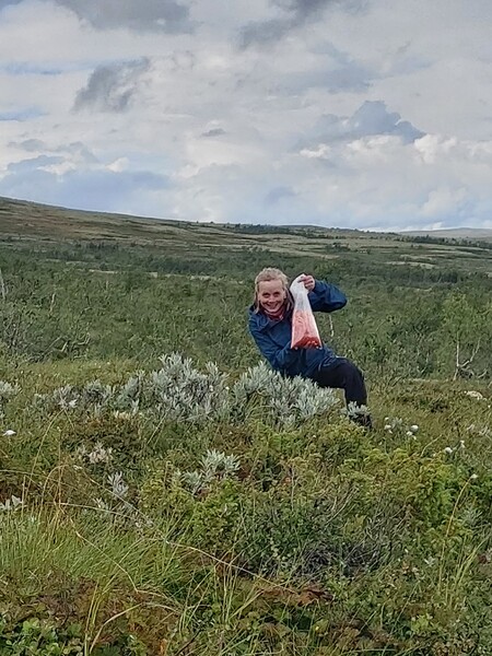 Klikk for å se forhåndsvisning